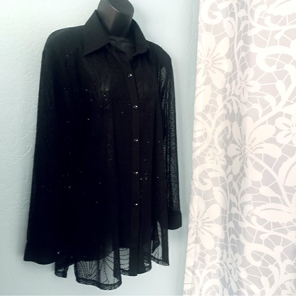 Chic Black Sheer Women's Blouse - Picture 2 of 11
